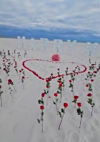 Classic Marriage Proposal Setup